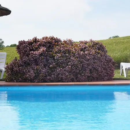 Agriturismo Bonzalone *