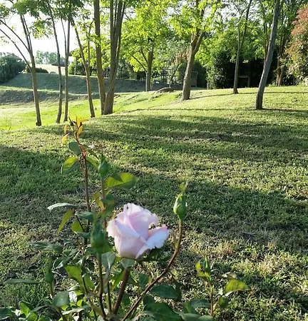 Farm stay Agriturismo Bonzalone Montiano (Tuscany)