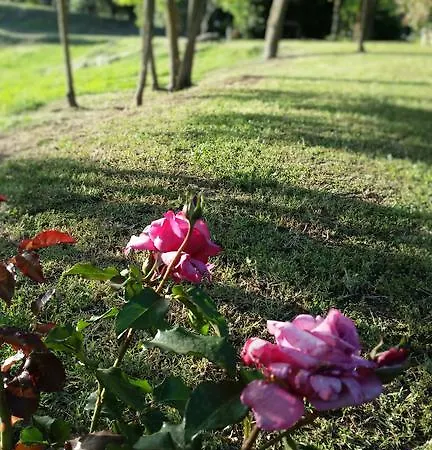 Farm stay Agriturismo Bonzalone