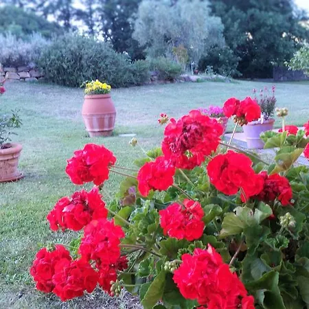 Farm stay Agriturismo Bonzalone *
