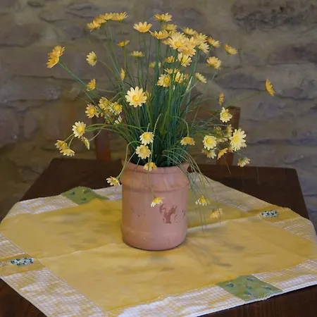 Agriturismo Bonzalone Montiano (Tuscany)