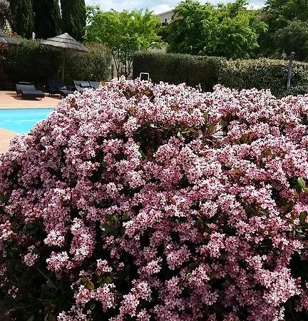 Farm stay Agriturismo Bonzalone Montiano (Tuscany)