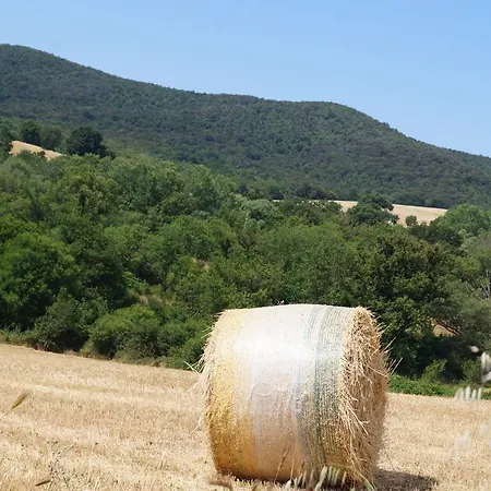 Agriturismo Bonzalone * Montiano (Tuscany)