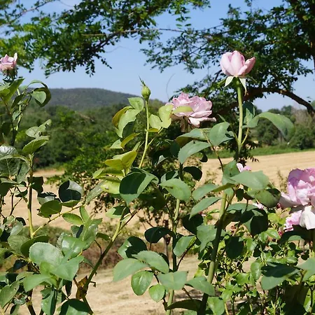 Agriturismo Bonzalone * Montiano (Tuscany)